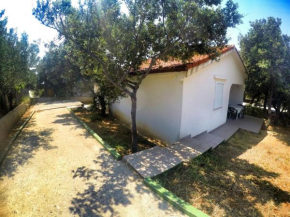Apartments with a parking space Mandre, Pag - 16836